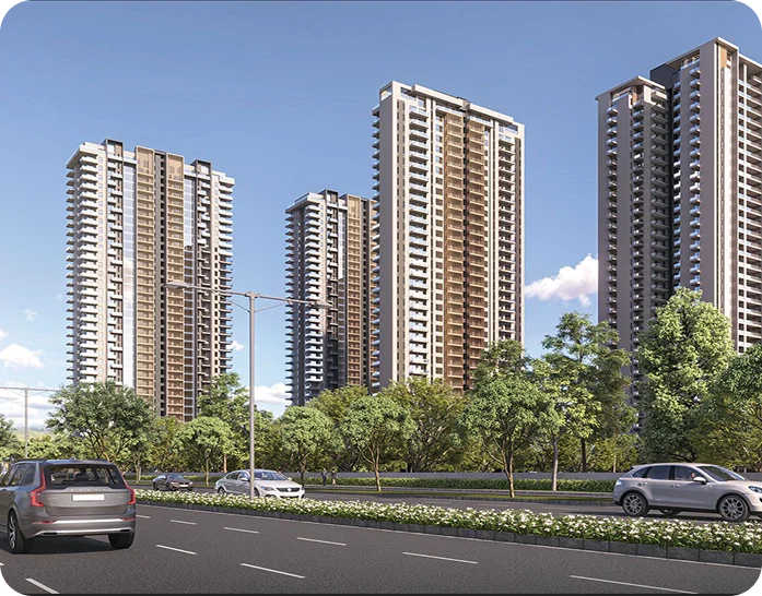 The Legacy project view